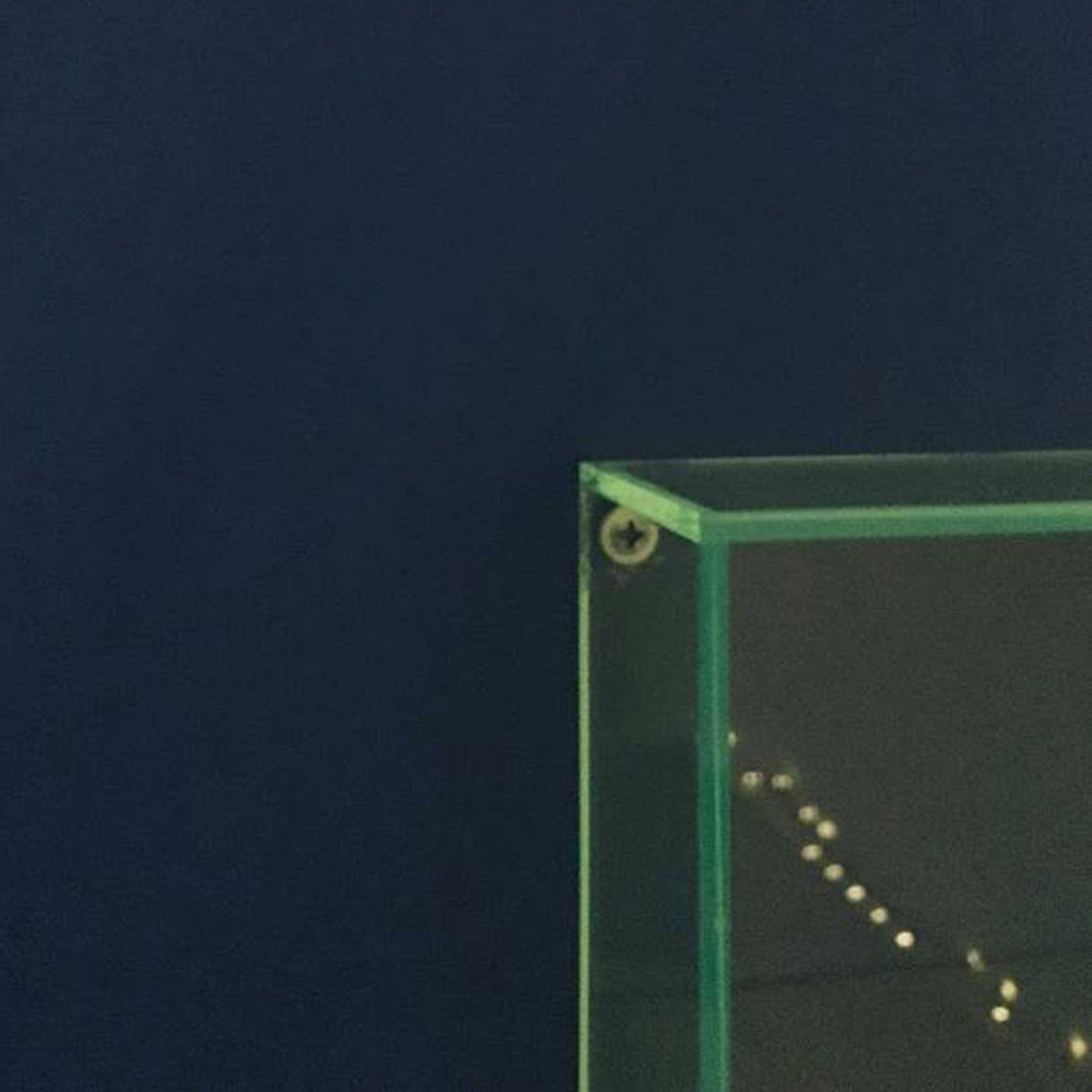 Mia Yi Rohlin, Uden titel, fotografi på skumpap, Århus Statsgymnasium